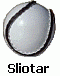 sliotar